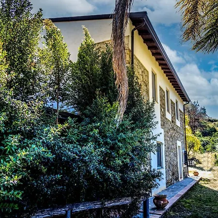 Il Risveglio Apartman *